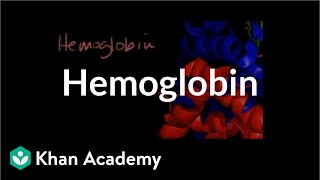 Hemoglobin  Human anatomy and physiology  Health amp Medicine  Khan Academy [upl. by Tynan]