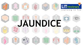 A Clinical Approach to Jaundice [upl. by Grannias164]