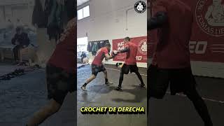 Combo de Bloqueo amp Contraataque boxeoprofesional mma ufc tomashermanbox boxingtraining [upl. by Sellma]