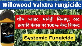 Willowood Valxtra Fungicide।। Haxaconazole 5 Validamycin 25 ।। के बारे में पूरी जानकारी।। [upl. by Annaej]