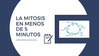 MITOSIS PASO a PASO en MENOS de 5 MINUTOS ✅ por cienciaybiologiacom [upl. by Sterling]