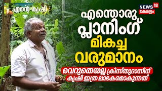 Ente Krishi  എന്തൊരു Planning മികച്ച വരുമാനം വെറുതെയല്ല Christudasന് കൃഷി ലാഭകരമാകുന്നത്  Farming [upl. by Weinreb]