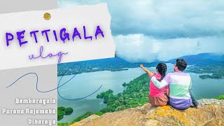 Pettigala Mountain Range  පෙට්ටිගල කඳු මුදුනට  Bambaragala Temple Kandy Travel Guide 2023  SL 👒 [upl. by Ignacio]