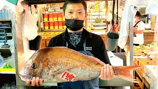 【職人技】魚市場の競りから［極上鯛が捌かれるまでに密着］・神経締め・血抜き 唐津の赤ウニの競りなどHow to prepare large fish [upl. by Aneral276]