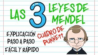 🌿LAS LEYES DE MENDEL CUADRO DE PUNNETT PASO A PASO EXPLICACIÓN Fácil y Rápido  BIOLOGÍA [upl. by Nahem]