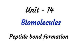 Peptide bond formation  Biomolecules  TN 12th chemistry  Unit 14  Biomolecules in tamil [upl. by Valentino]