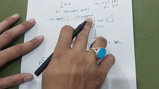 EICOSANOIDS SYNTHESIS AND FUNCTION WITH EASY MNEMONICSbiochemistry carbohydrate nmdc dr mbbs [upl. by Eiba]