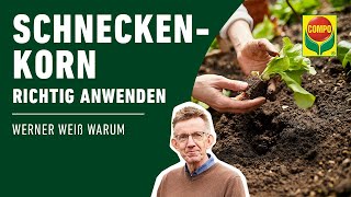 Schnecken bekämpfen  Schneckenkorn richtig anwenden  COMPO [upl. by Anitaf]