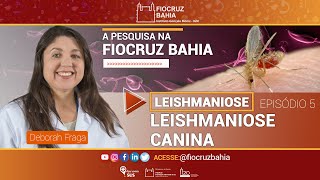 Leishmaniose  Leishmaniose canina [upl. by Annoif637]