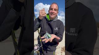 MULINELLI da SURFCASTING con RobertoAccardi [upl. by Jerrine]