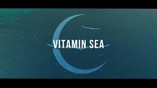 Owl City  Vitamin Sea Official Lyric Video music Officialvideo [upl. by Eta]