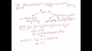 le rapport entre le calcium et le phosphore chez les animaux [upl. by Aisanahta]