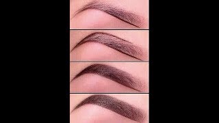 ❅ Les secrets des sourcils parfaits  NovaDickson [upl. by Debi660]