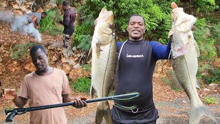 my first catch with my new ermes spear gun accurate catch fire roasted ripe plantain fish [upl. by Isak]