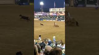 Reno Rodeo 2024 Calf Roping rodeo [upl. by Campy]