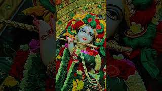 youtubeshorts yoshorts viralvideo jai shree krisna [upl. by Sinnard]