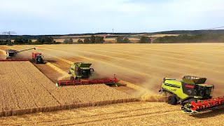 CLAAS LEXION 795 TT The Ultimate Grain Harvesting Powerhouse [upl. by Orran]