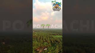 It sounds like youre referring to the beautiful coconut farms in Pollachi a town in TamilNadu India [upl. by Idoj293]