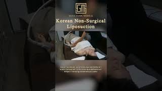 Korean Nonsurgical Liposuction  Seoul Guide Medical [upl. by Nerita]