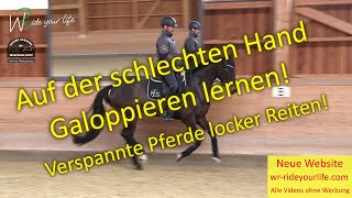 F158 Angaloppieren auf der steifen  schlechten Seite Verspannte Pferde locker reiten Galopp [upl. by Juan]