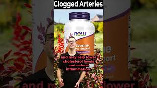 Berberine Benefits Weight Loss Supplements amp Side Effects [upl. by Alfreda]