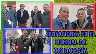 MUNDIAL de ORNITOLOGÍA en TALAVERA con los CAMPEONES 🏆🐦 [upl. by Ramberg]