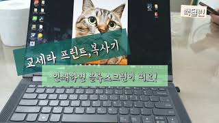 교세라 복사기 프린터 인쇄시 블루스크린 떠요 바뻐 죽으니까 1분만에 고쳐드려요 [upl. by Rempe782]