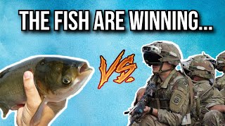 Why the US Army is at war with a fish [upl. by Fernald]