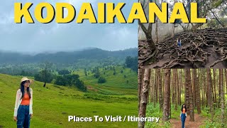 Complete Guide To Kodaikanal  Places To Visit  2 Day Itinerary  Accomodation [upl. by Ikiv]