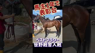 競馬・馬主馬主1年で表彰台 初めて買った愛馬ベストフラワー 笹野先生ありがとう御座いました [upl. by Neeruam]