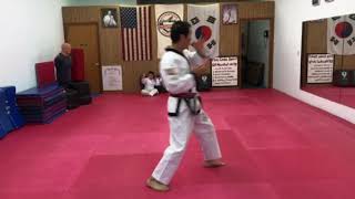 Tang soo do form 5 [upl. by Nedgo441]