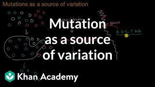 Mutation as a source of variation  Gene expression and regulation  AP Biology  Khan Academy [upl. by Willem]