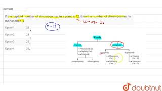 If the haploid number of chromosomes in a plant is 12 then the number of chromosomes [upl. by Eamon]