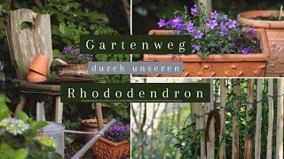 Gartenweg durch unseren riesen Rhododendron  Garten Makeover [upl. by Elleirol688]