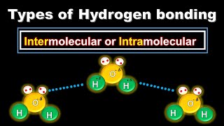 Types of hydrogen bonding😊 with Examples  Intermolecular vs Intramolecular Hydrogen Bonds [upl. by Ellesor]