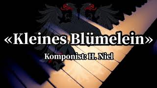 Kleines Blümelein  Erika Piano [upl. by Vidovik]