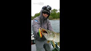 Brochet en traction au Divinator de Biwaa [upl. by Oirad27]