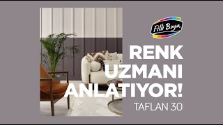 Filli Boya Yılın Renk Paleti 2024 Taflan 30 [upl. by Alyda]