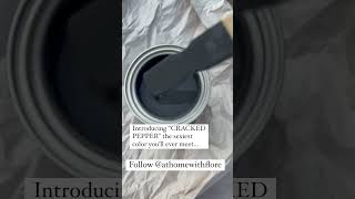 Behr 2024 color of the year behrpaint diyfurniture facebookmarketplace diyhomedecor [upl. by Nylanna]