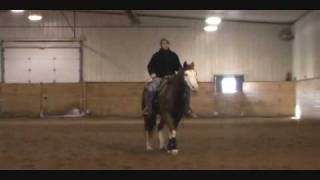 Western Pleasure Training with Jamie Novak part 1 [upl. by Enylecoj]