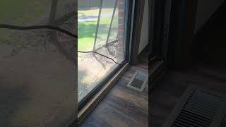 Sliding Glass Door with block in track [upl. by Anaizit]