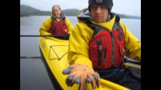 Ketchikan Kayak Co EcoTours [upl. by Jessie]