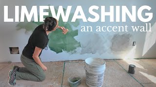 I Tried The TRENDING Limewashing Technique [upl. by Euqirne349]