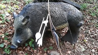 Bearpaw Penthalon quotBlackfootquot Longbow  Review and Shooting [upl. by Heyman]