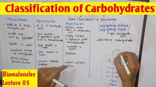 Classification of Carbohydrates in UrduHindi  Carbohydrates  Biomolecules [upl. by Euqinoj]