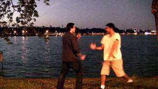 Ogawa Ryu  IBS  ASB  Aikijujutsu open air night training [upl. by Trace]