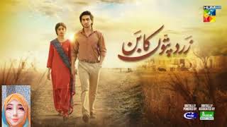 Zard Patto ka Bunn  Last Episode 25 Teaser Sajal Ali  Humza Suhail [upl. by Staal847]