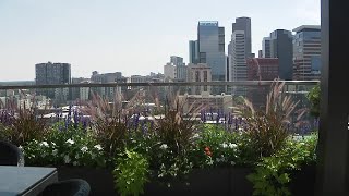 Looking to create a rooftop garden Heres what goes into building one [upl. by Rhee]