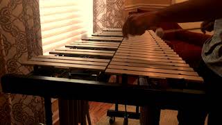 quotA Night In Tunisiaquot Improv Jazz Vibraphone Solo [upl. by Mahsih]