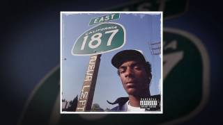 Snoop Dogg Bacc In Da Dayz feat Big Tray Deee Official Audio [upl. by Newberry]